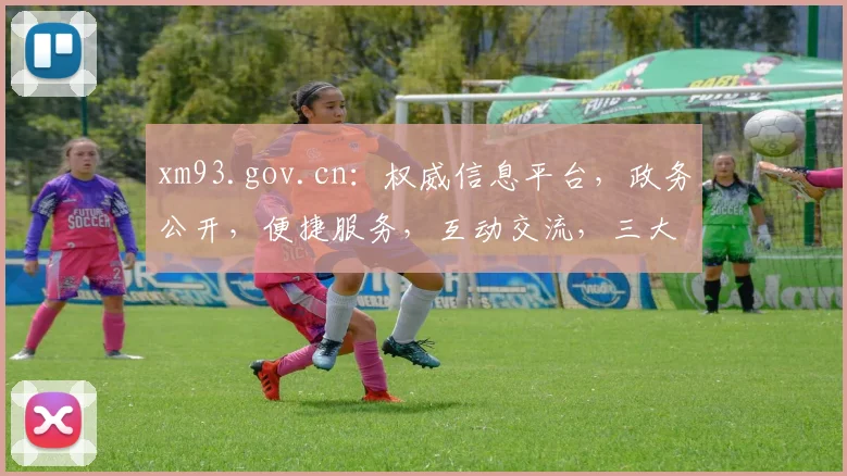 xm93.gov.cn:权威信息平台,政务公开,便捷服务,互动交流,三大亮点